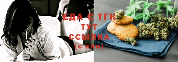 молекула духа Вяземский