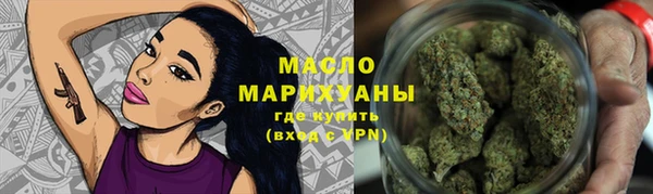 молекула духа Вяземский