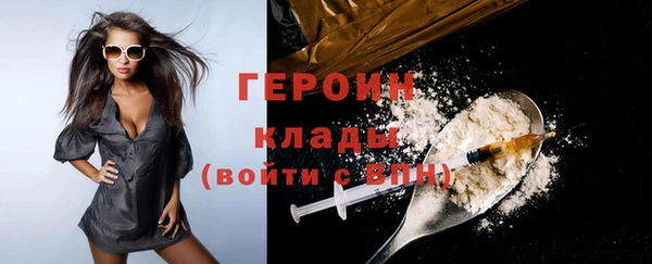 молекула духа Вяземский