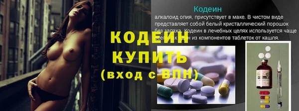молекула духа Вяземский