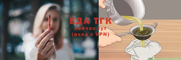 молекула духа Вяземский