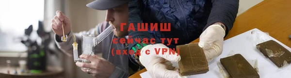молекула духа Вяземский