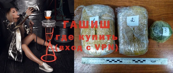молекула духа Вяземский