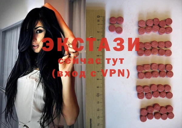 молекула духа Вяземский
