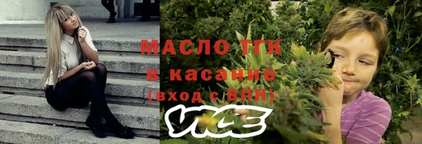 молекула духа Вяземский