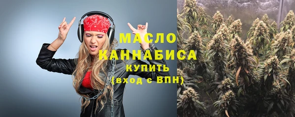 молекула духа Вяземский