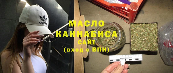 молекула духа Вяземский