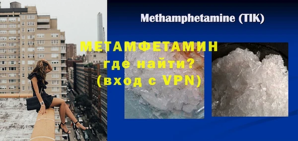 молекула духа Вяземский