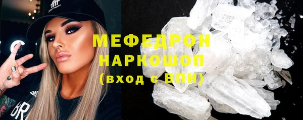 молекула духа Вяземский