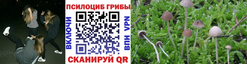 Купить где  Надым  Псилоцибиновые грибы Magic Shrooms 